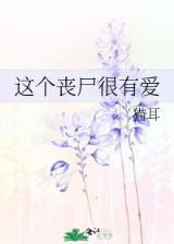 香港神算子免费高手论坛网官方app